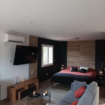 Loft Sauna Jacuzzi Ospariegeois Lavelanet Eksteriør billede